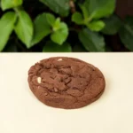 كوكيز شوكلاتة / Cookies Chocolate
